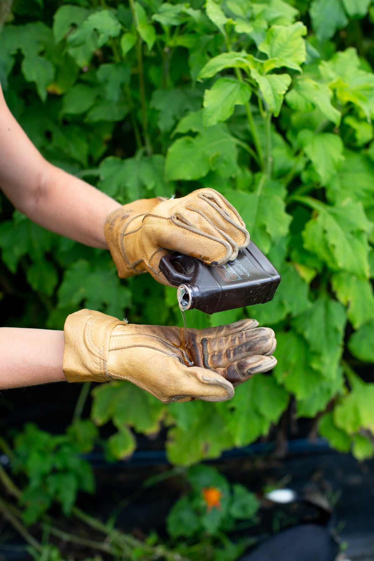 Guides Glove Care, Sizing & Liner Fit Vermont Glove